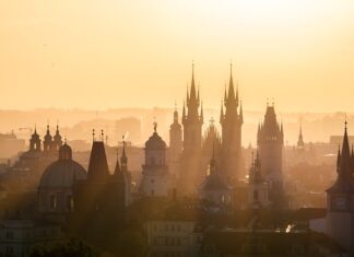 Jakie są podstawowe cele działalności?