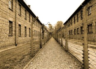 Dlaczego Tadek trafił do Auschwitz?