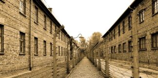 Ile ważyli Ludzie w Auschwitz?